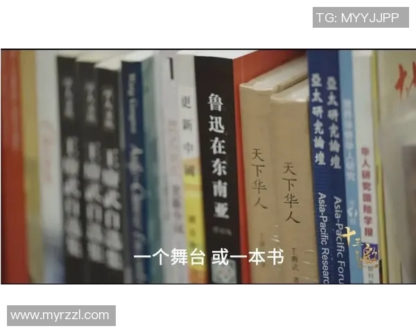 加齐的崛起与变革探索：从传统到现代的跨越之路