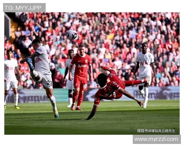 热刺与利物浦女球迷激情对决赛场外的友谊与热爱交织