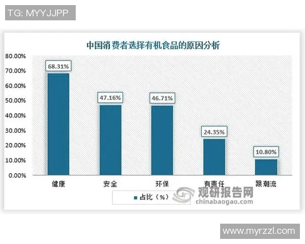 墨西哥与VSM的深度对比分析及其在全球市场中的影响探讨